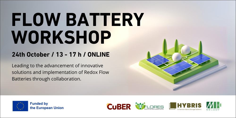 FLORES: Flow Battery Workshop, 24 October 2024 (Online)