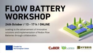 FLORES: Flow Battery Workshop, 24 October 2024 (Online)